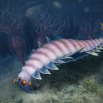 Identifican a un extraño artrópodo de cinco ojos como el segundo ejemplar conocido de un género extinto hace 500 millones de años