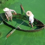 El verde de los lagos no siempre es bueno