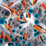Virus extraterrestres, ¿un peligro en las misiones espaciales?