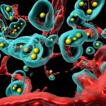 Un virus modificado hace que el cáncer se elimine a sí mismo