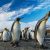 Linux se aproxima al 4% de cuota de mercado, según NetMarketShare.