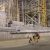 El perro robot Spot tiene un nuevo trabajo: vigilar y medir la radiación en la zona de exclusión de Chernóbil.